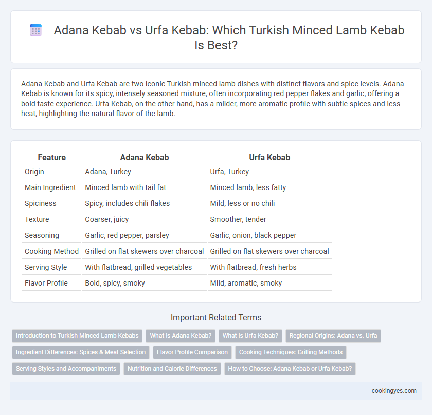 Adana Kebab vs Urfa Kebab: Which Turkish Minced Lamb Kebab Is Best?