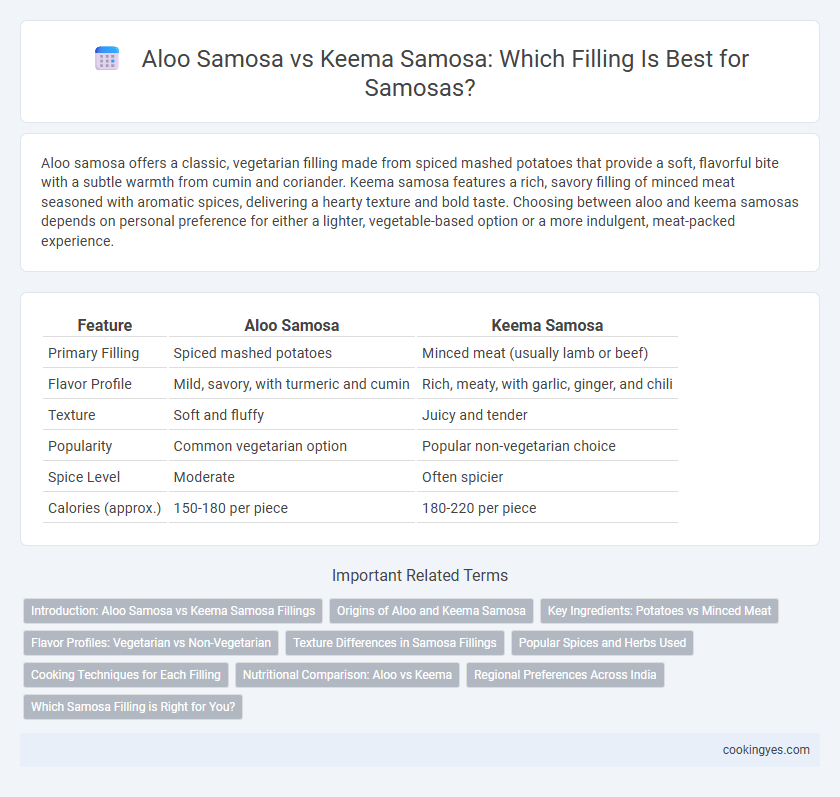 Aloo Samosa vs Keema Samosa: Which Filling Is Best for Samosas?