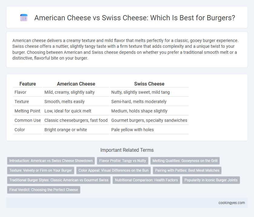 American Cheese vs Swiss Cheese: Which Is Best for Burgers?