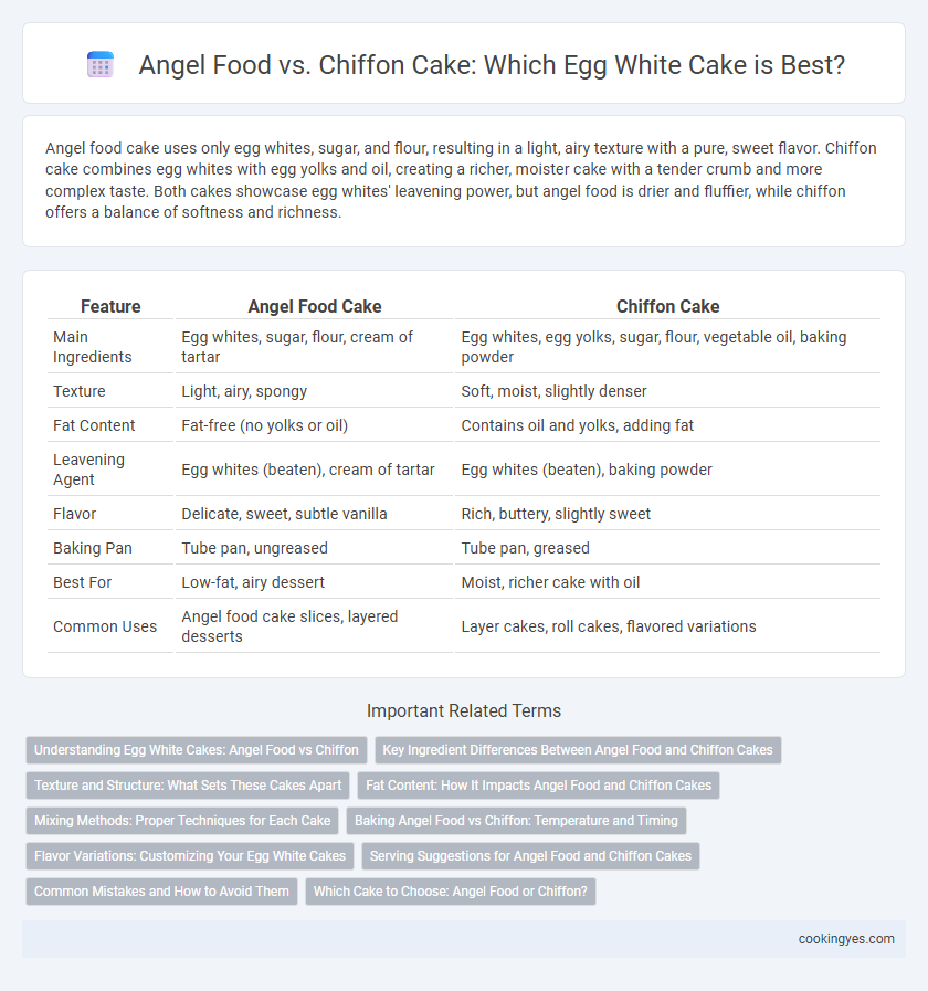 Angel Food vs. Chiffon Cake: Which Egg White Cake is Best?