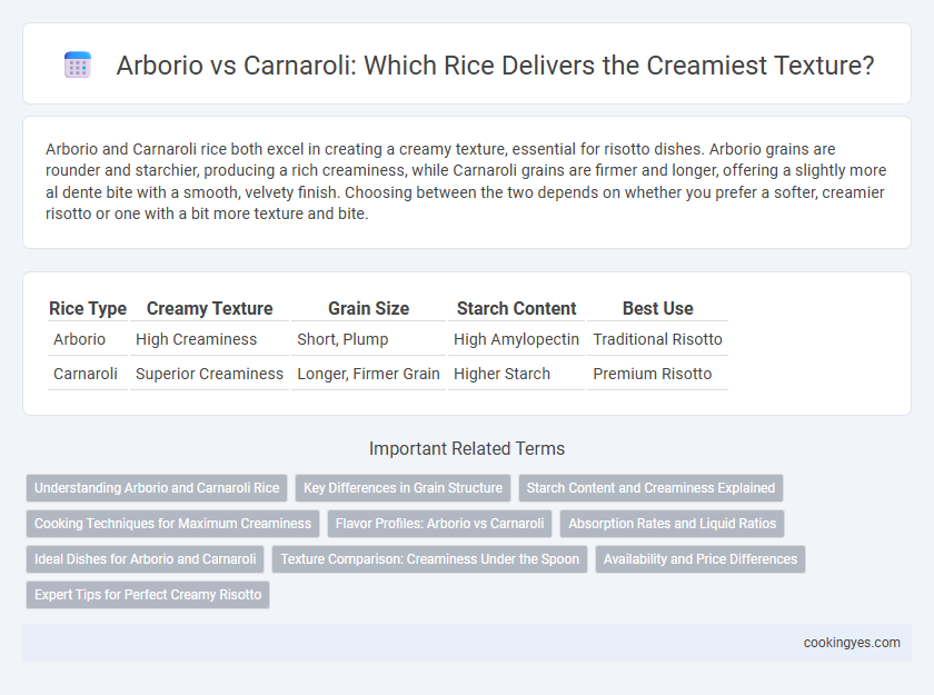 Arborio vs Carnaroli: Which Rice Delivers the Creamiest Texture?