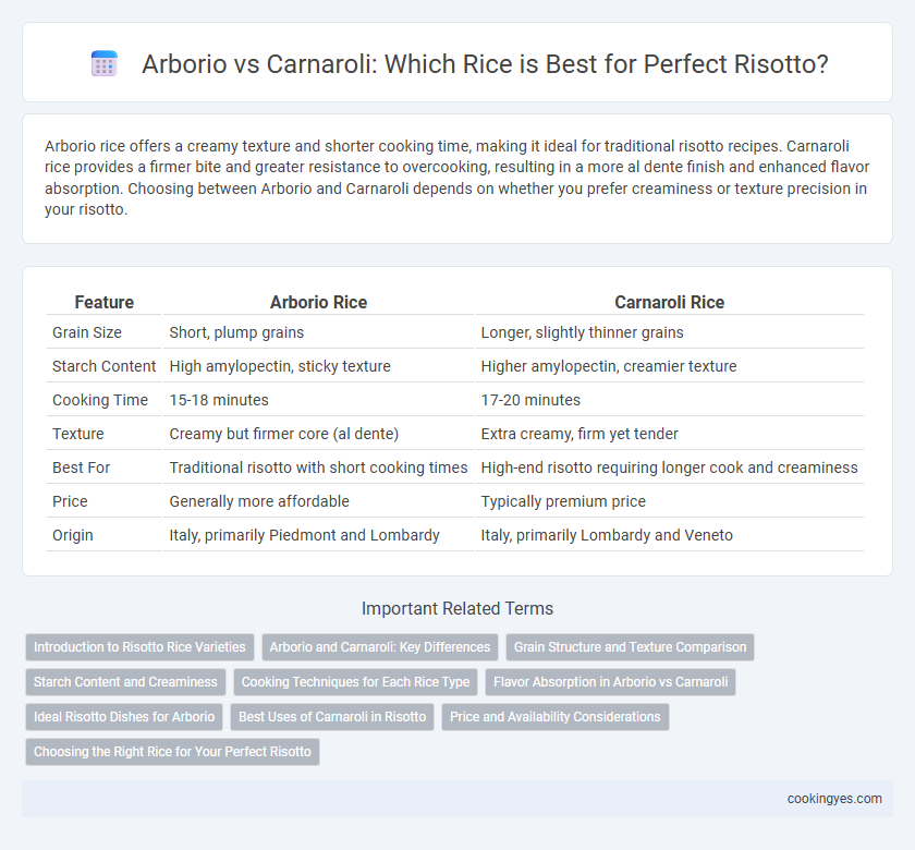 Arborio vs Carnaroli: Which Rice is Best for Perfect Risotto?