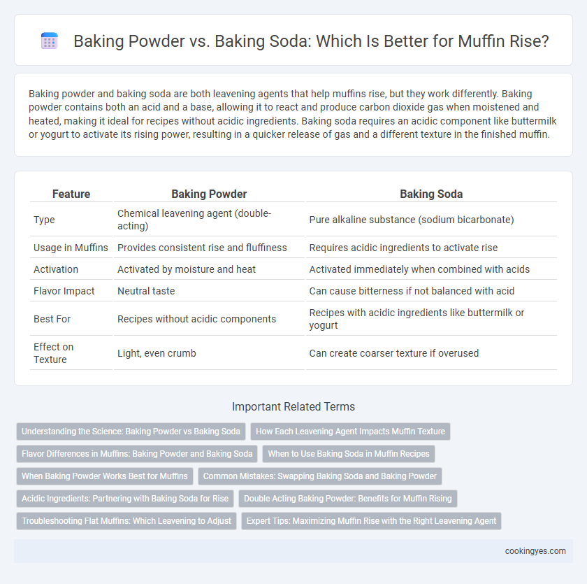 Baking Powder vs. Baking Soda: Which Is Better for Muffin Rise?