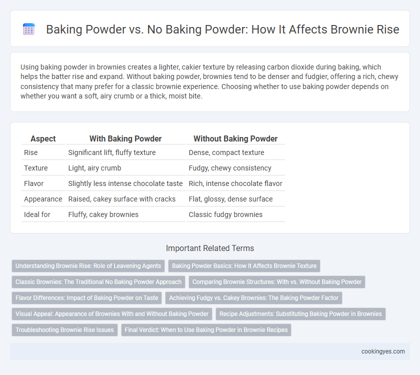 Baking Powder vs. No Baking Powder: How It Affects Brownie Rise