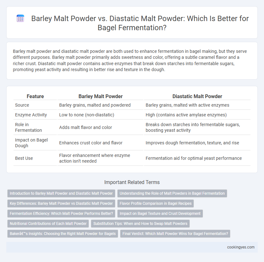 Barley Malt Powder vs. Diastatic Malt Powder: Which Is Better for Bagel Fermentation?