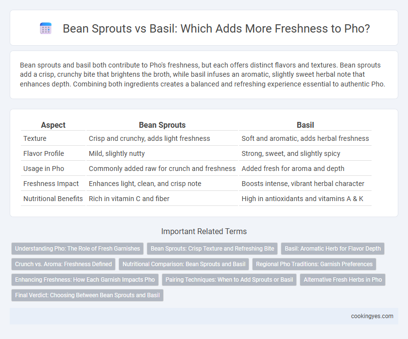 Bean Sprouts vs Basil: Which Adds More Freshness to Pho?