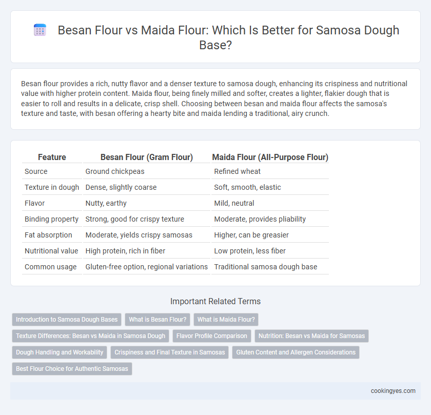 Besan Flour vs Maida Flour: Which Is Better for Samosa Dough Base?