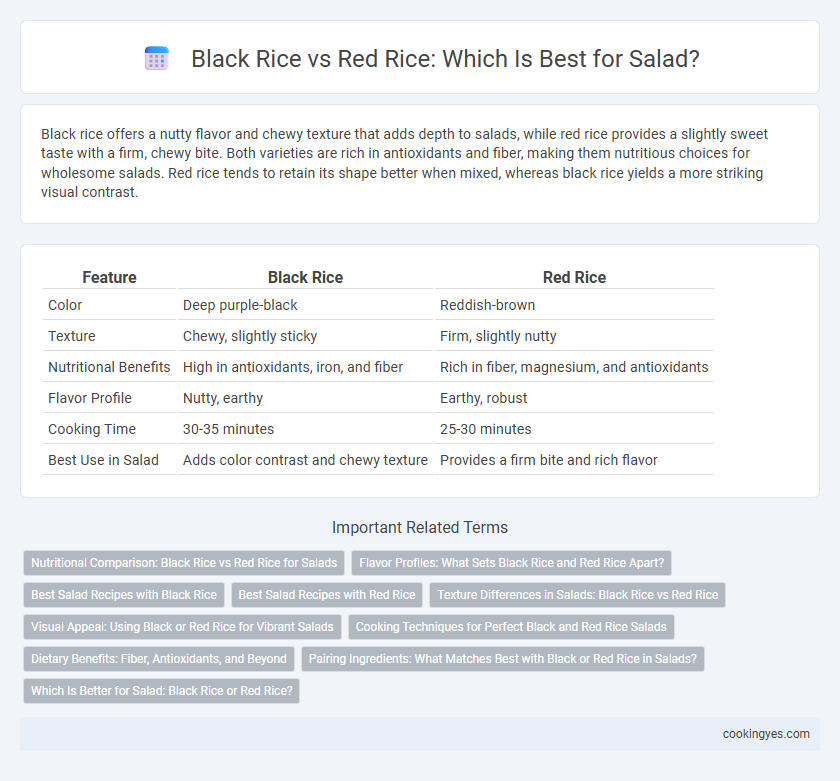 Black Rice vs Red Rice: Which Is Best for Salad?