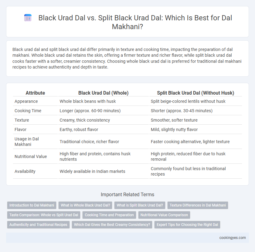 Black Urad Dal vs. Split Black Urad Dal: Which Is Best for Dal Makhani?