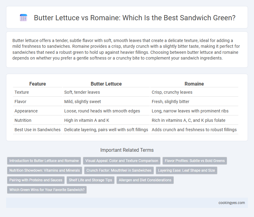Butter Lettuce vs Romaine: Which Is the Best Sandwich Green?
