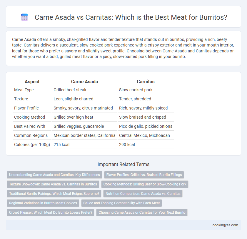 Carne Asada vs Carnitas: Which is the Best Meat for Burritos?