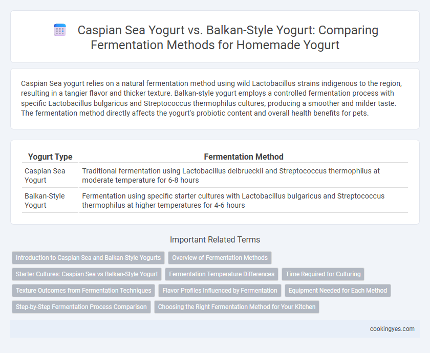 Caspian Sea Yogurt vs. Balkan-Style Yogurt: Comparing Fermentation Methods for Homemade Yogurt
