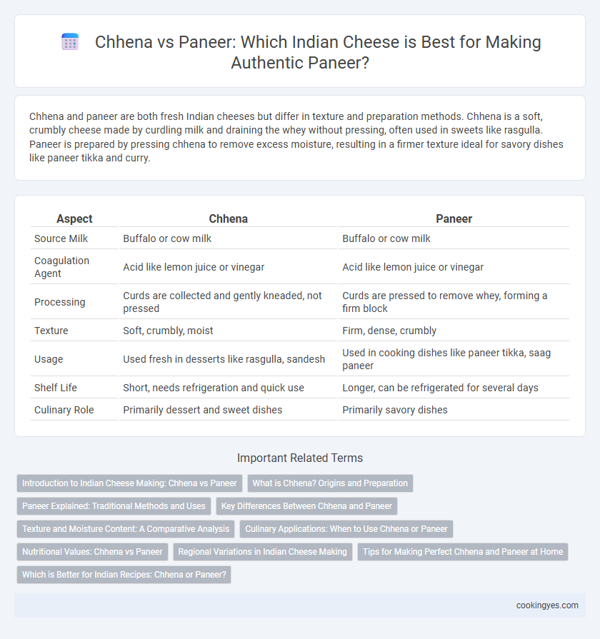 Chhena vs Paneer: Which Indian Cheese is Best for Making Authentic Paneer?