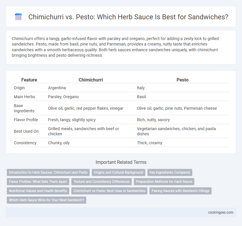 Chimichurri vs. Pesto: Which Herb Sauce Is Best for Sandwiches?