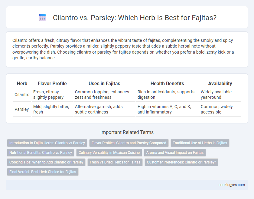 Cilantro vs. Parsley: Which Herb Is Best for Fajitas?