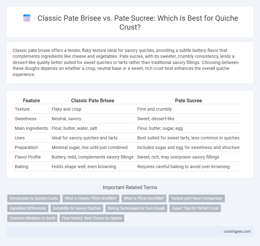 Classic Pate Brisee vs. Pate Sucree: Which Is Best for Quiche Crust?