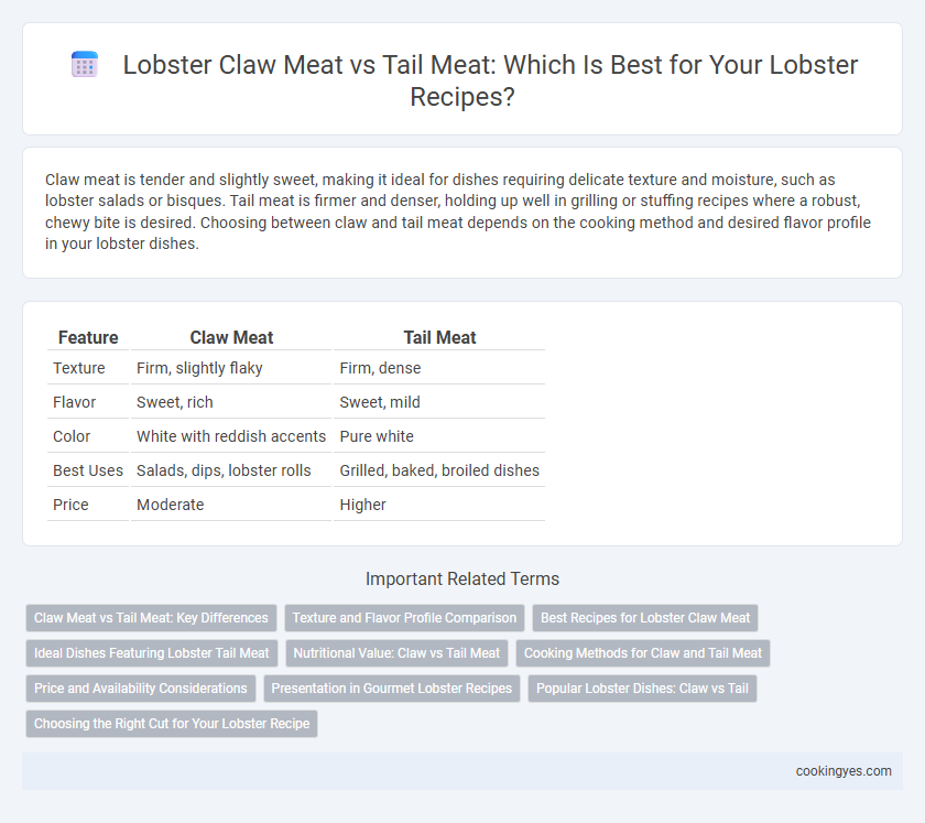 Lobster Claw Meat vs Tail Meat: Which Is Best for Your Lobster Recipes?