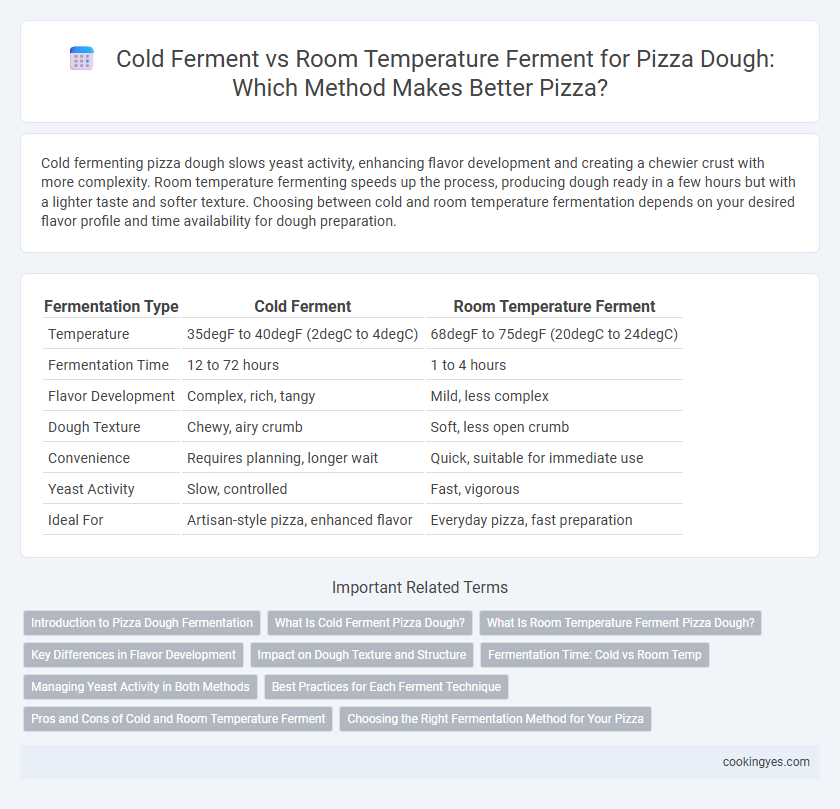 Cold Ferment vs Room Temperature Ferment for Pizza Dough: Which Method Makes Better Pizza?