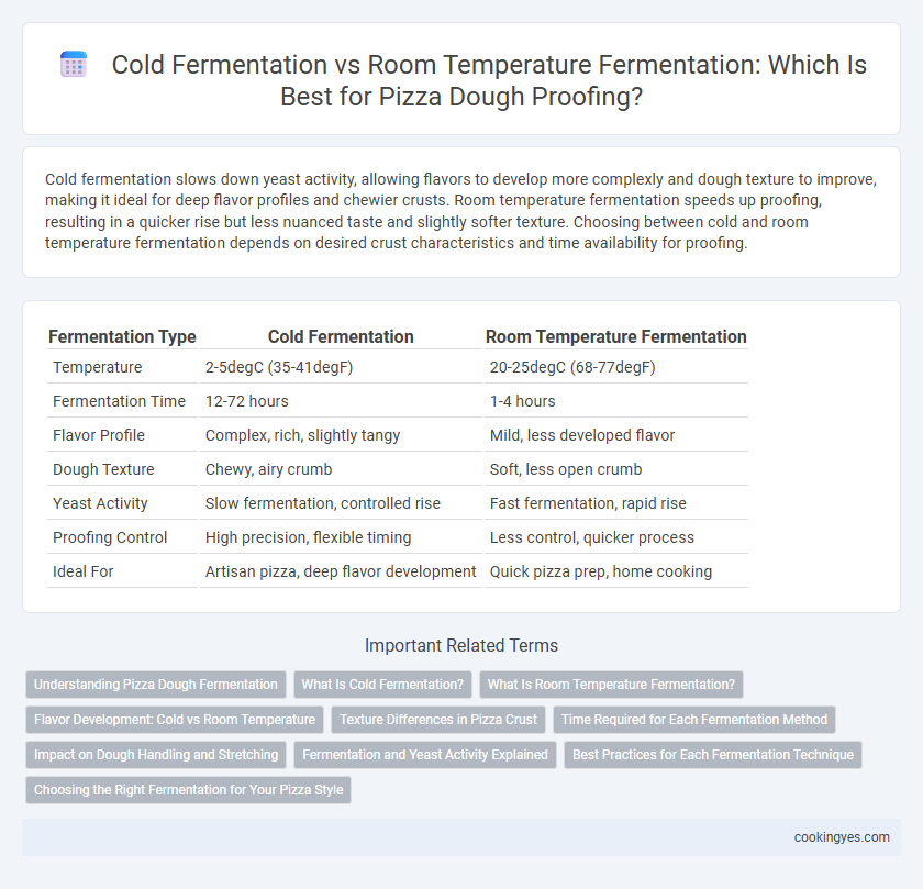 Cold Fermentation vs Room Temperature Fermentation: Which Is Best for Pizza Dough Proofing?