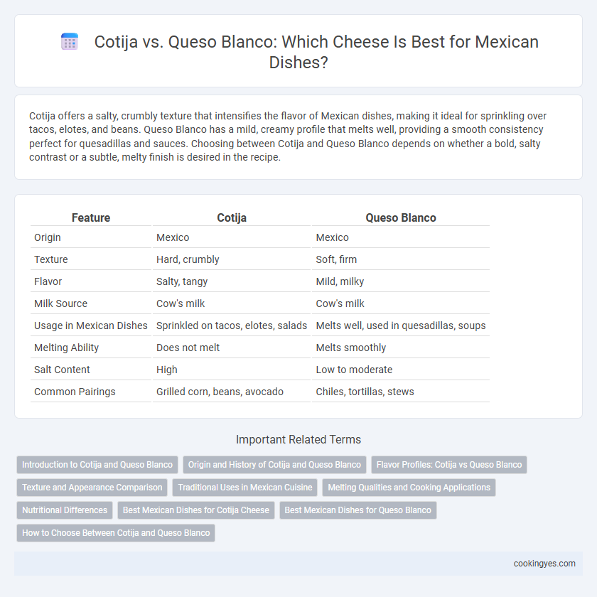 Cotija vs. Queso Blanco: Which Cheese Is Best for Mexican Dishes?