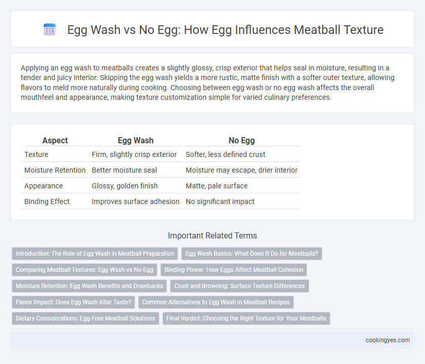 Egg Wash vs No Egg: How Egg Influences Meatball Texture