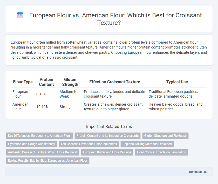 European Flour vs. American Flour: Which is Best for Croissant Texture?