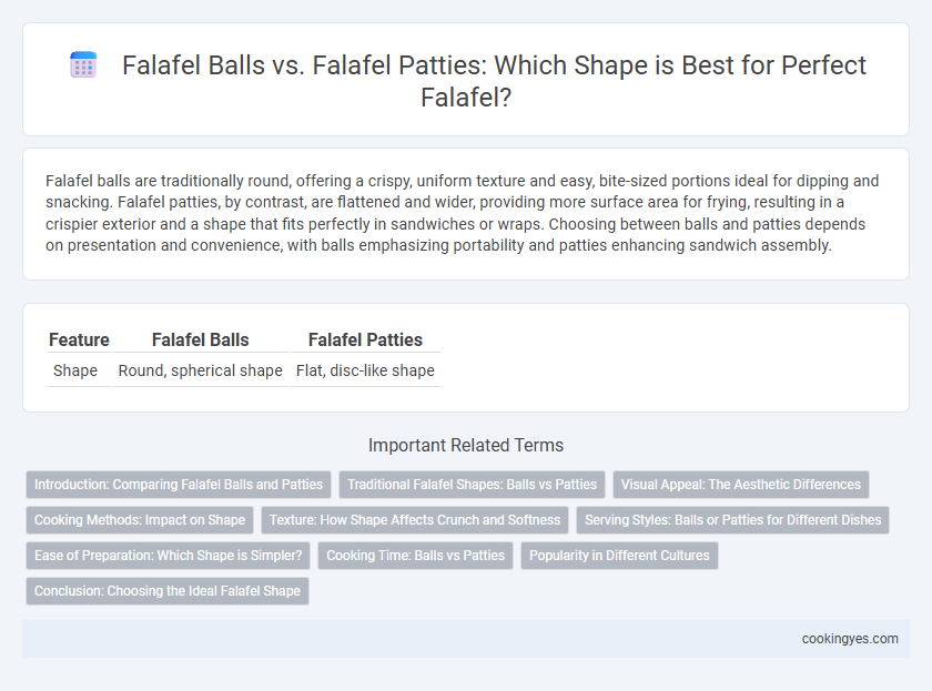 Falafel Balls vs. Falafel Patties: Which Shape is Best for Perfect Falafel?