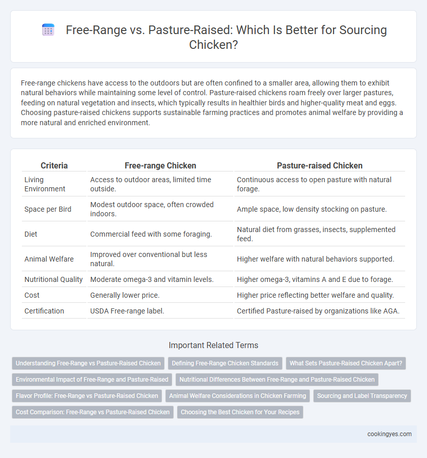 Free-Range vs. Pasture-Raised: Which Is Better for Sourcing Chicken?