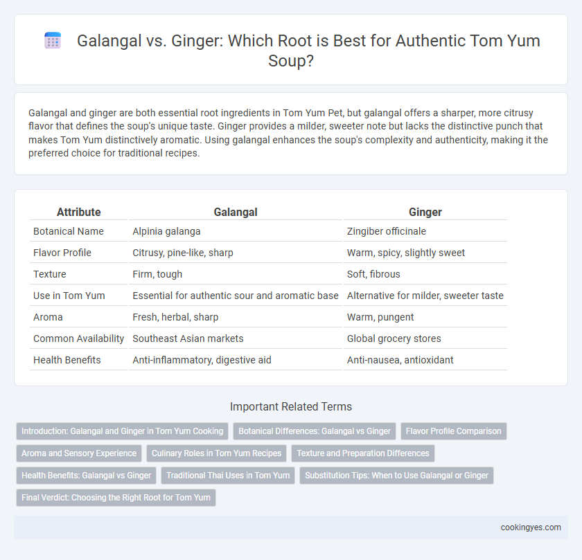 Galangal vs. Ginger: Which Root is Best for Authentic Tom Yum Soup?