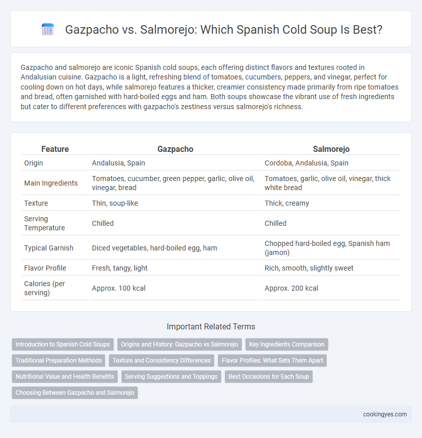 Gazpacho vs. Salmorejo: Which Spanish Cold Soup Is Best?