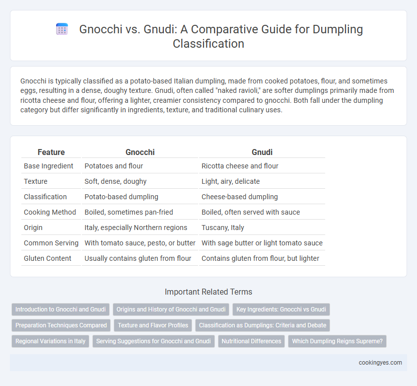 Gnocchi vs. Gnudi: A Comparative Guide for Dumpling Classification