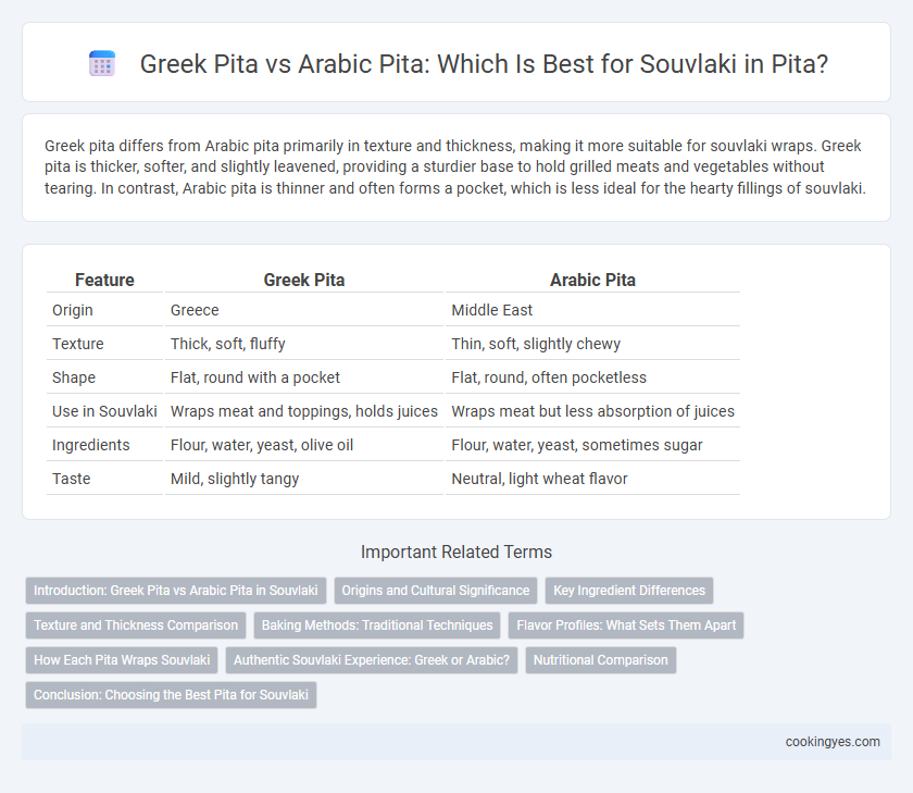 Greek Pita vs Arabic Pita: Which Is Best for Souvlaki in Pita?