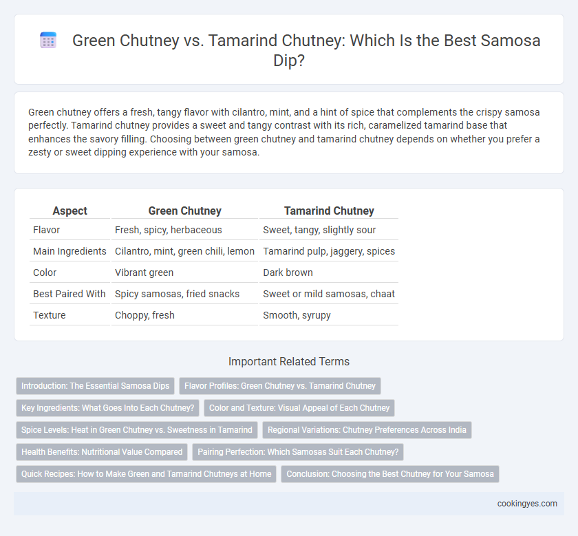 Green Chutney vs. Tamarind Chutney: Which Is the Best Samosa Dip?