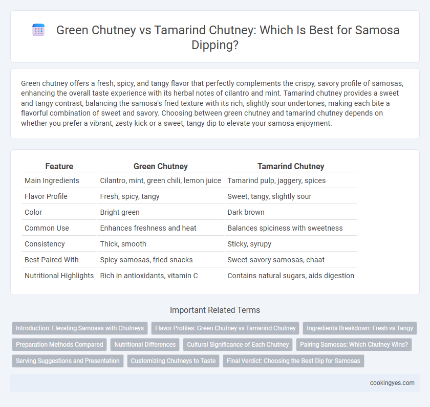 Green Chutney vs Tamarind Chutney: Which Is Best for Samosa Dipping?