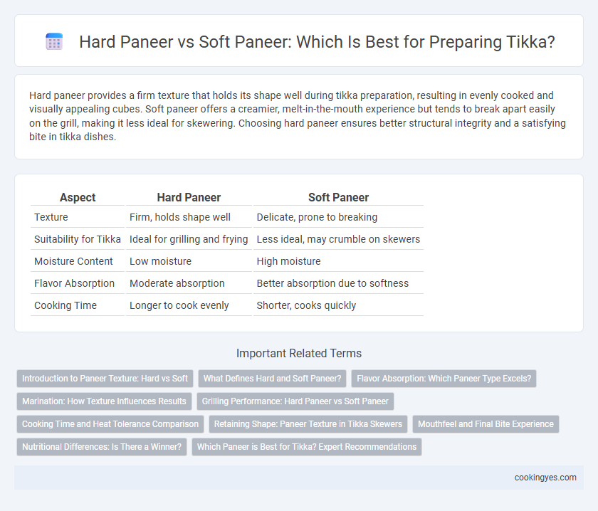 Hard Paneer vs Soft Paneer: Which Is Best for Preparing Tikka?
