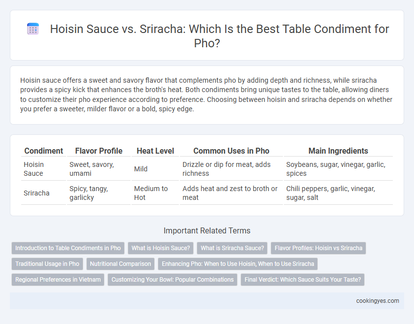 Hoisin Sauce vs. Sriracha: Which Is the Best Table Condiment for Pho?