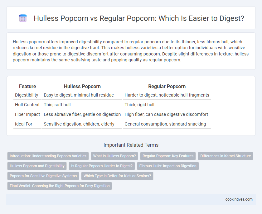 Hulless Popcorn vs Regular Popcorn: Which Is Easier to Digest?