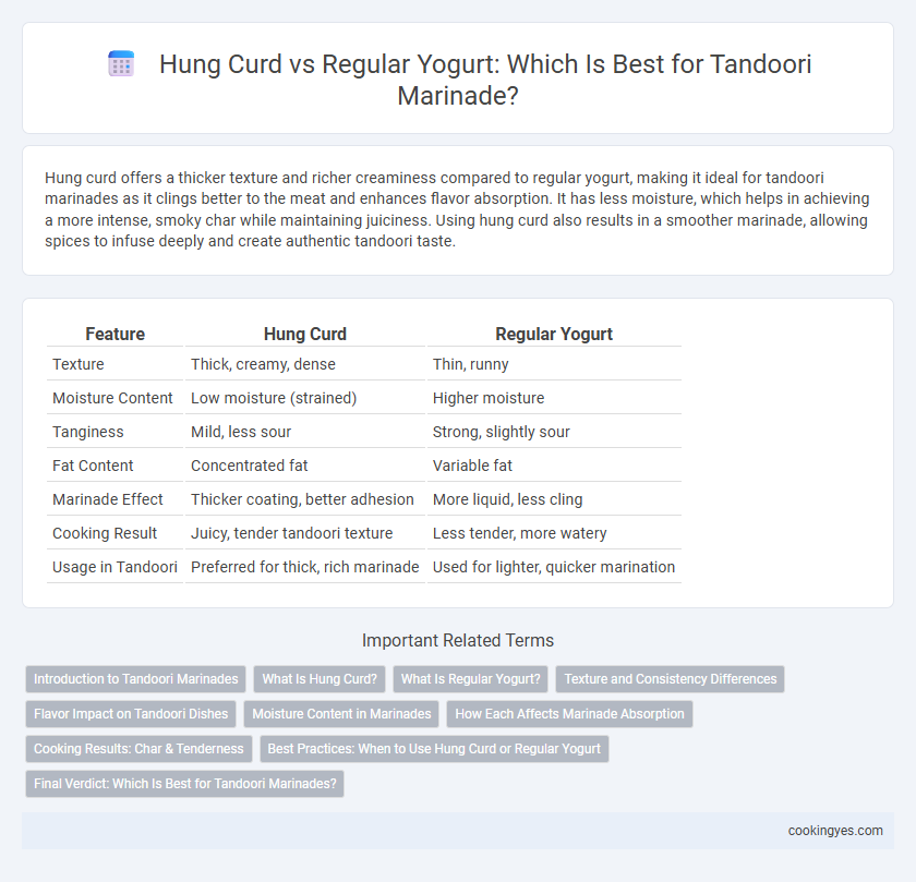 Hung Curd vs Regular Yogurt: Which Is Best for Tandoori Marinade?