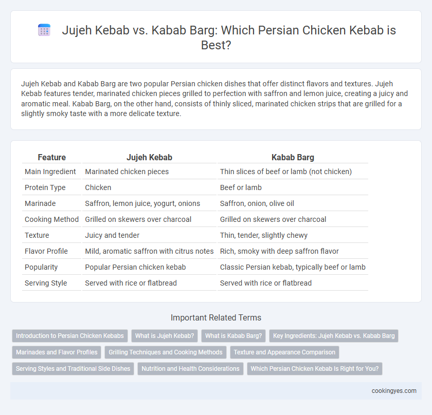 Jujeh Kebab vs. Kabab Barg: Which Persian Chicken Kebab is Best?