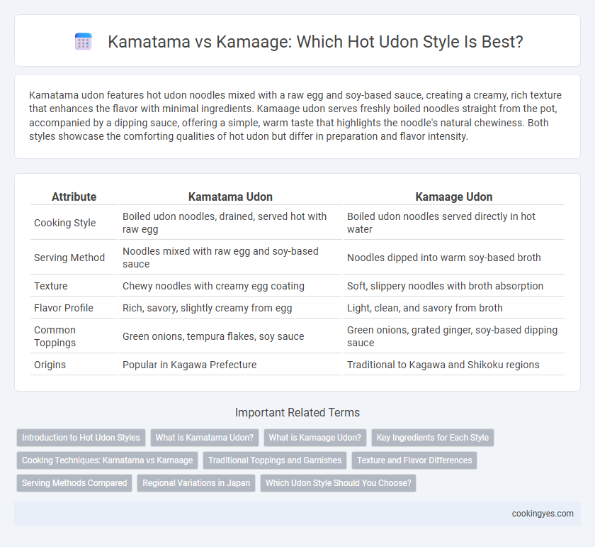 Kamatama vs Kamaage: Which Hot Udon Style Is Best?