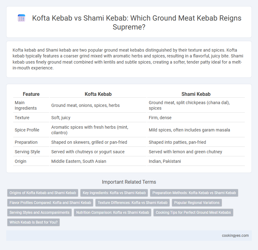 Kofta Kebab vs Shami Kebab: Which Ground Meat Kebab Reigns Supreme?