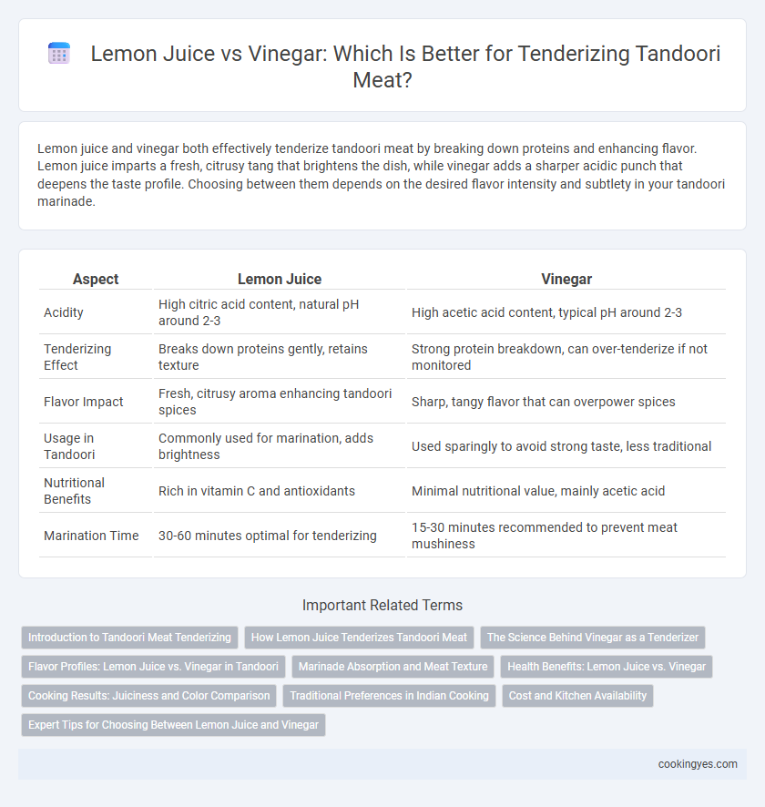Lemon Juice vs Vinegar: Which Is Better for Tenderizing Tandoori Meat?