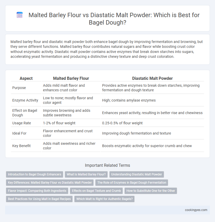 Malted Barley Flour vs Diastatic Malt Powder: Which is Best for Bagel Dough?
