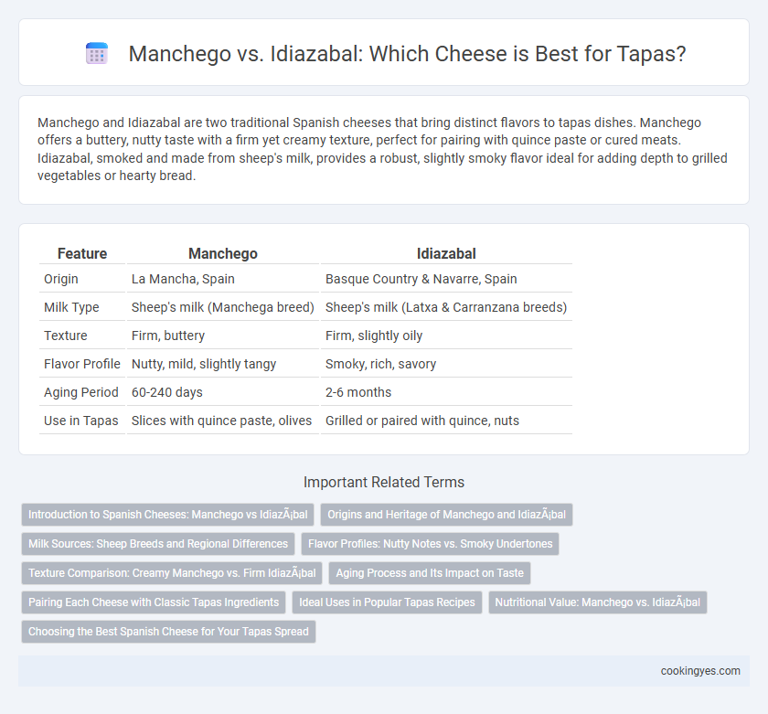 Manchego vs. Idiazabal: Which Cheese is Best for Tapas?
