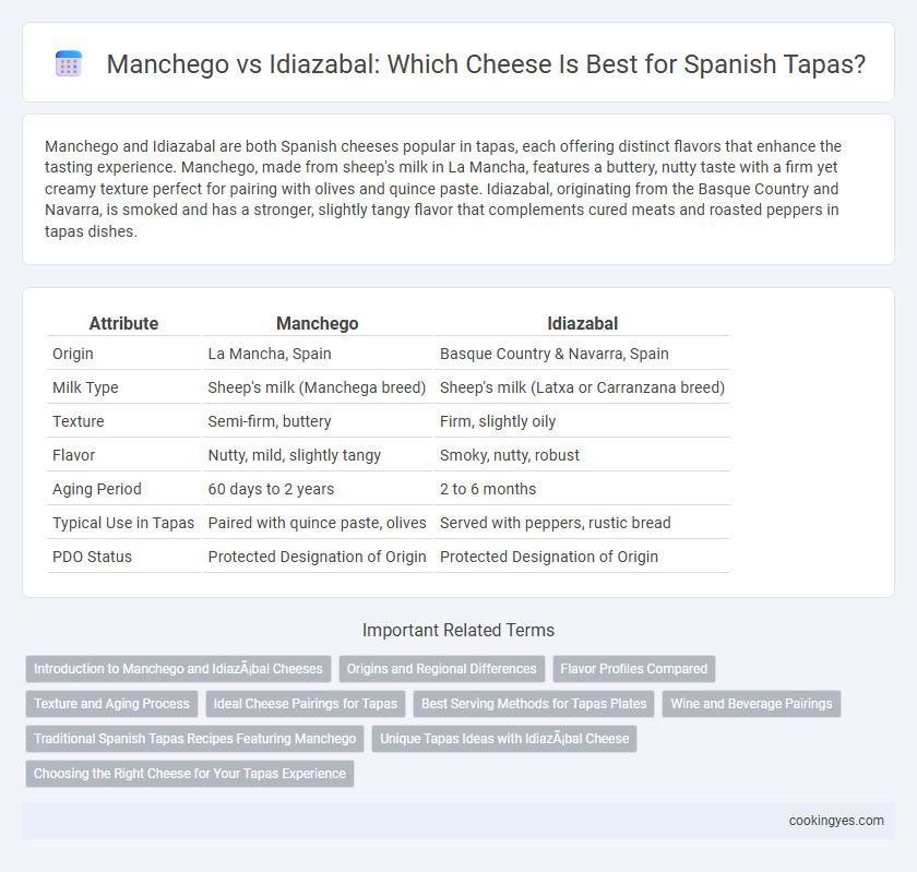 Manchego vs Idiazabal: Which Cheese Is Best for Spanish Tapas?