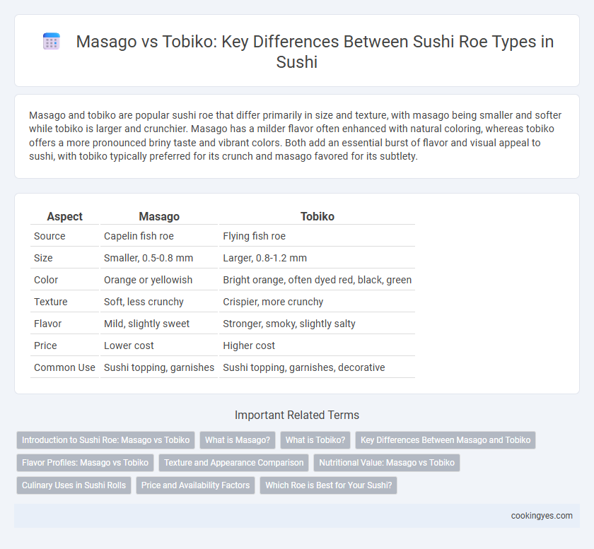 Masago vs Tobiko: Key Differences Between Sushi Roe Types in Sushi
