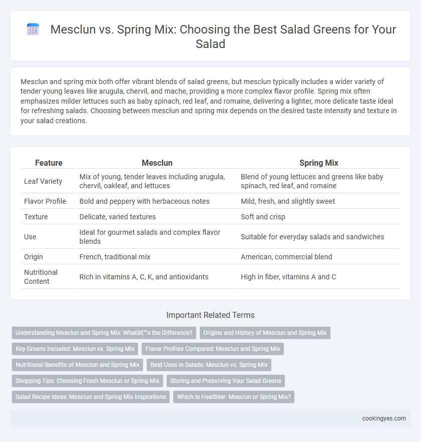 Mesclun vs. Spring Mix: Choosing the Best Salad Greens for Your Salad