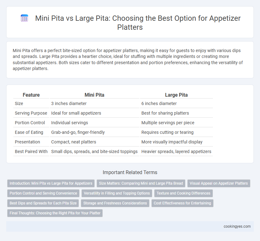 Mini Pita vs Large Pita: Choosing the Best Option for Appetizer Platters