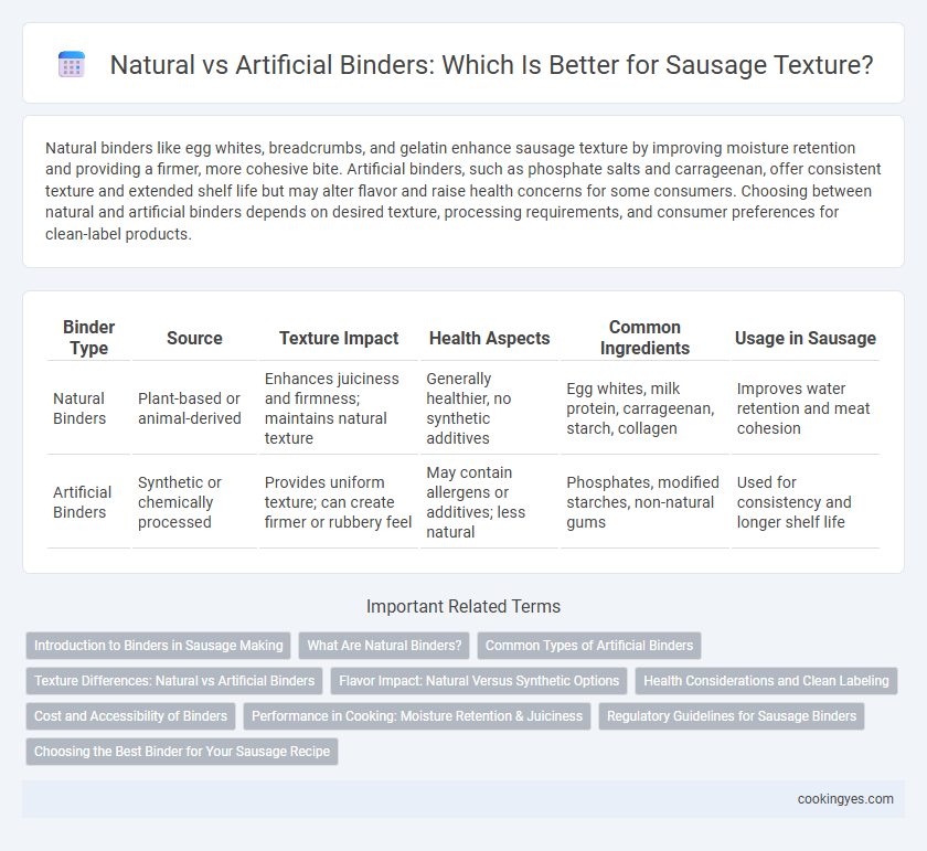 Natural vs Artificial Binders: Which Is Better for Sausage Texture?
