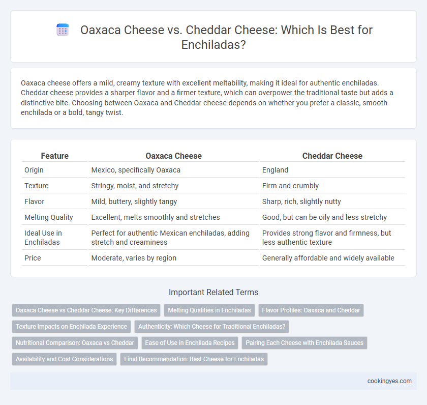 Oaxaca Cheese vs. Cheddar Cheese: Which Is Best for Enchiladas?